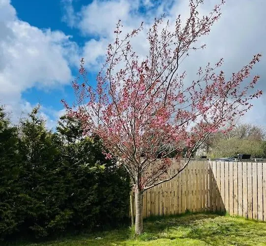 Vakantiehuis Spacious 4 Bedroom Perfect Location *